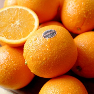 [신상할인] 최고의 산미 고당도 블랙라벨 퓨어스펙 오렌지