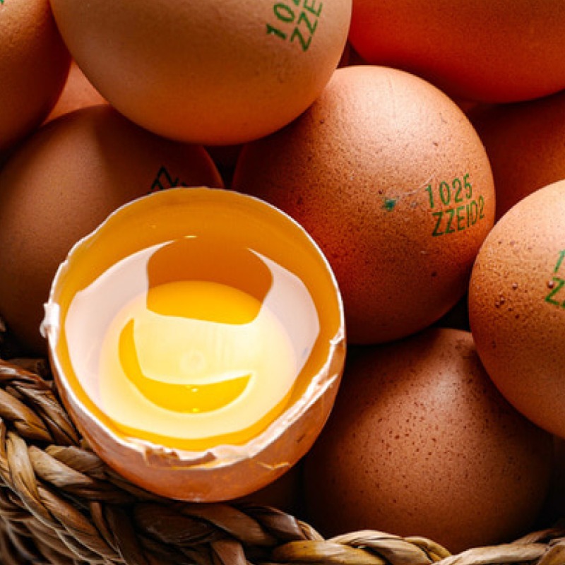 컨비니, [전북 농가돕기] 동물복지 무항생제 계란 유정란, 52g, 42구, 컨비니언